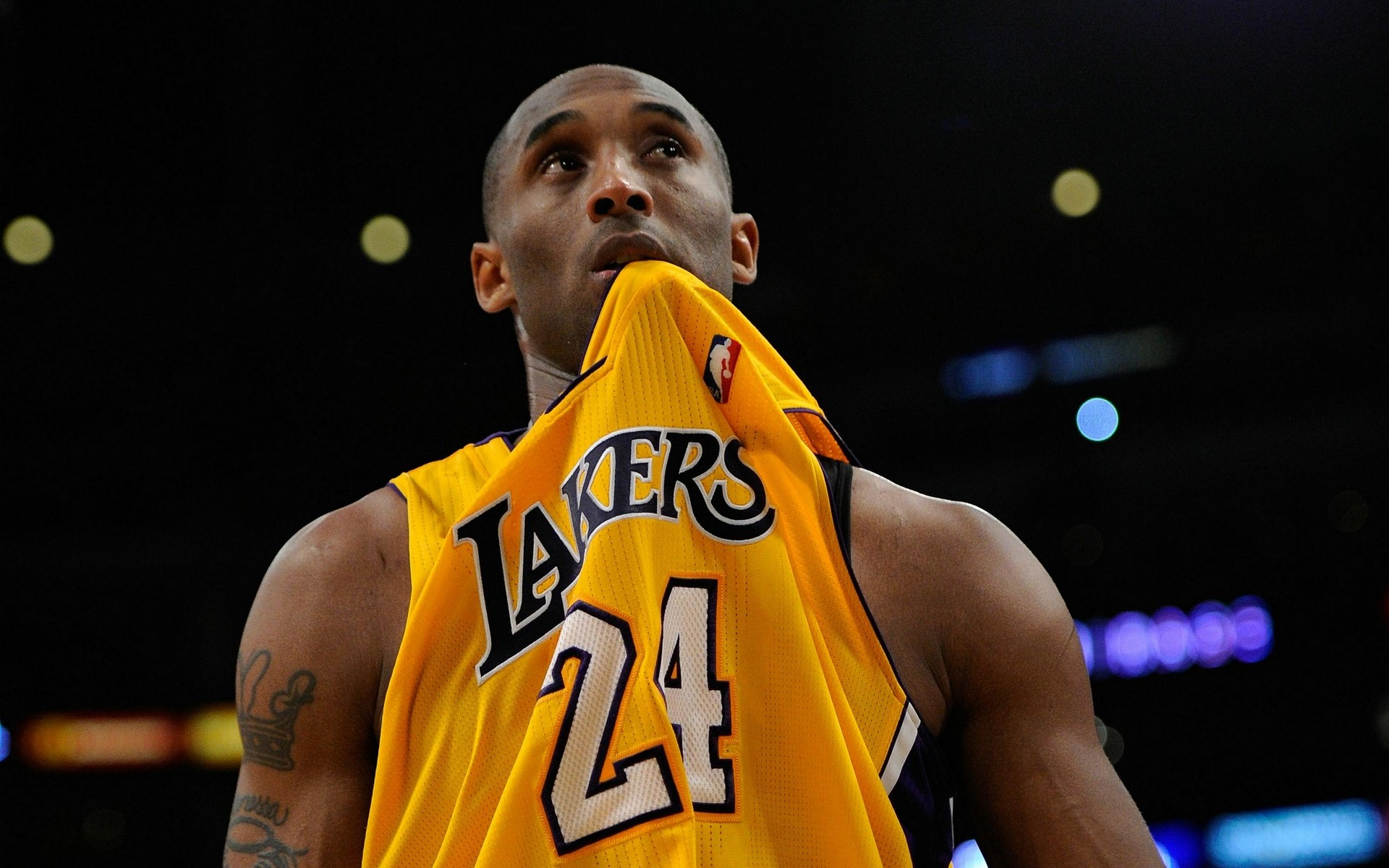 通的桥梁 通的桥梁